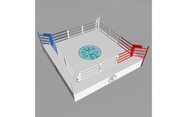 Ринг для кикбоксинга турнирный (Кickboxing ring 20ft WAKO)